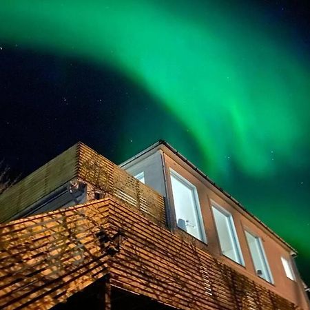 Waterfront Senja 3 Lägenhet Torsken Exteriör bild