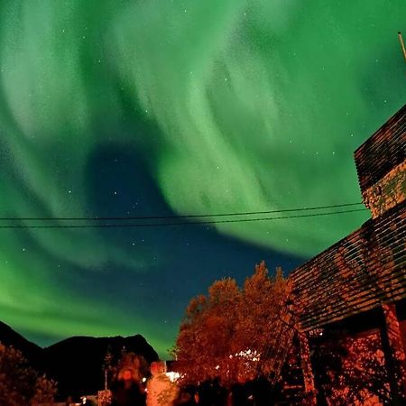Waterfront Senja 3 Lägenhet Torsken Exteriör bild