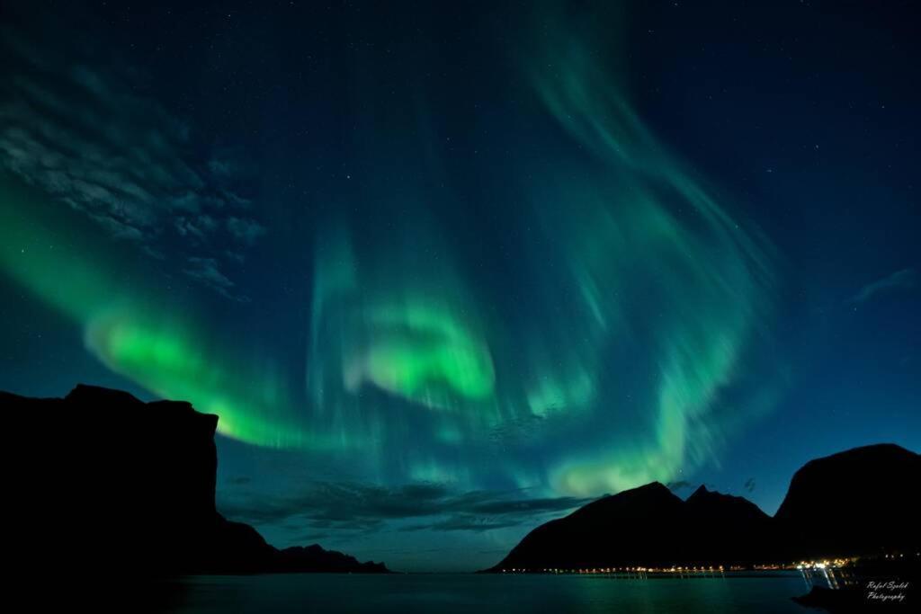 Waterfront Senja 3 Lägenhet Torsken Exteriör bild
