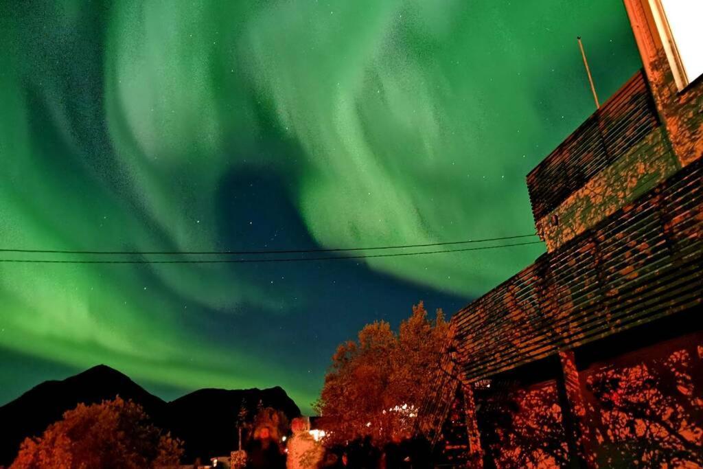 Waterfront Senja 3 Lägenhet Torsken Exteriör bild