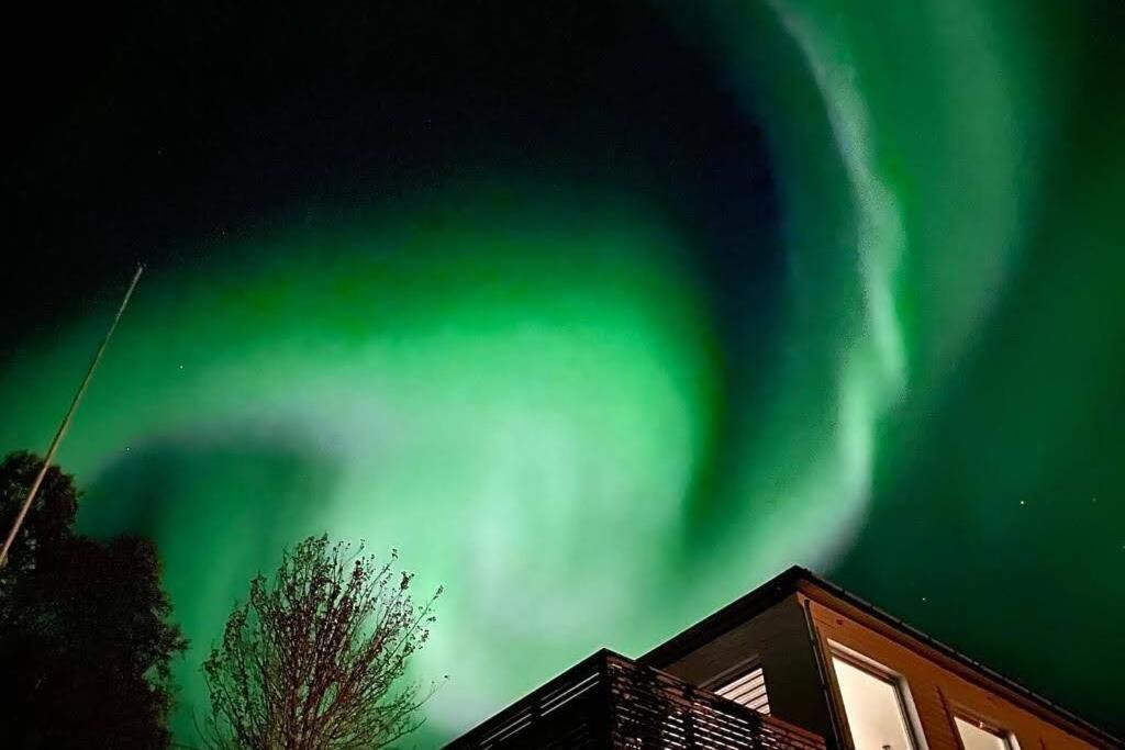 Waterfront Senja 3 Lägenhet Torsken Exteriör bild