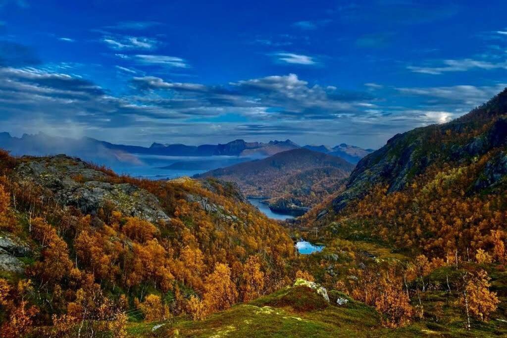 Waterfront Senja 3 Lägenhet Torsken Exteriör bild