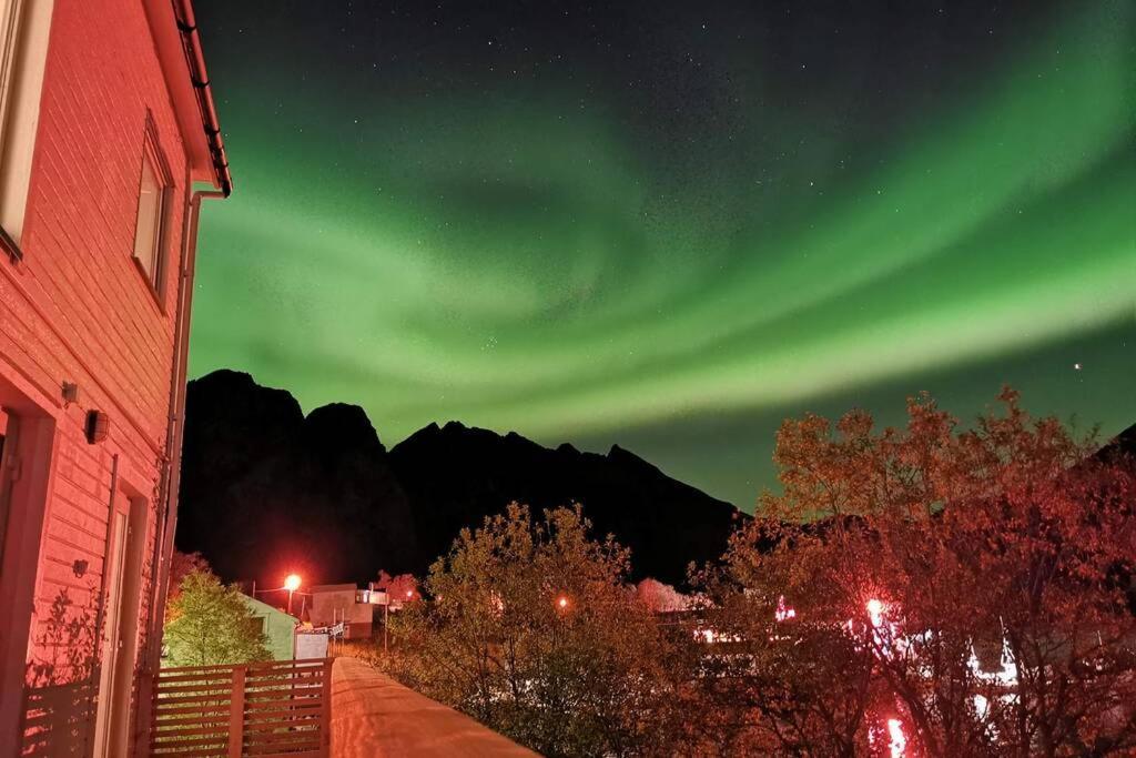 Waterfront Senja 3 Lägenhet Torsken Exteriör bild