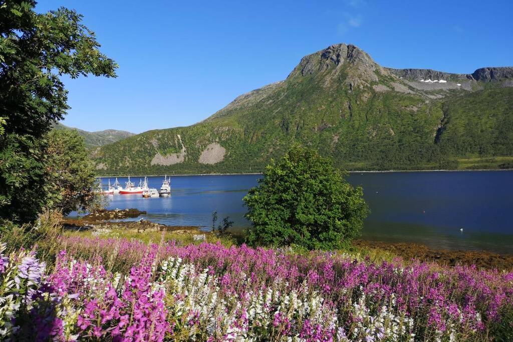 Waterfront Senja 3 Lägenhet Torsken Exteriör bild