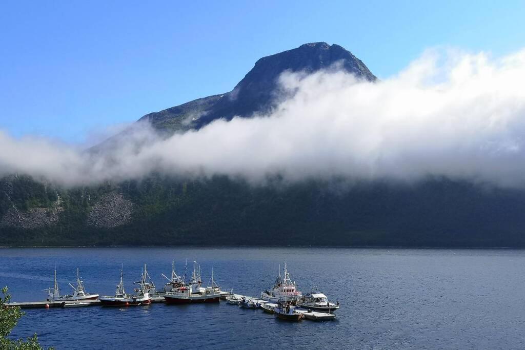 Waterfront Senja 3 Lägenhet Torsken Exteriör bild