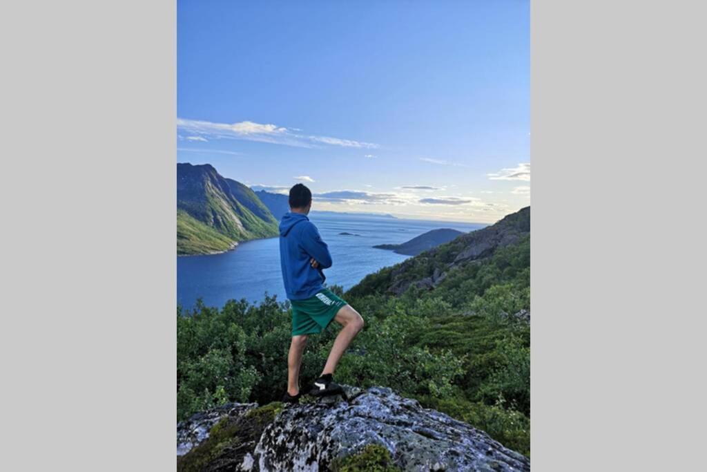 Waterfront Senja 3 Lägenhet Torsken Exteriör bild